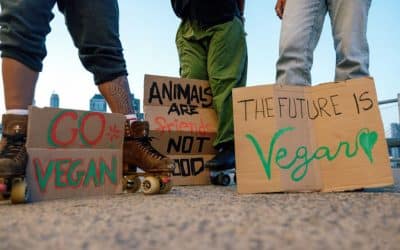 1 de noviembre, Día Mundial del Veganismo: historia, significado y cómo celebrarlo